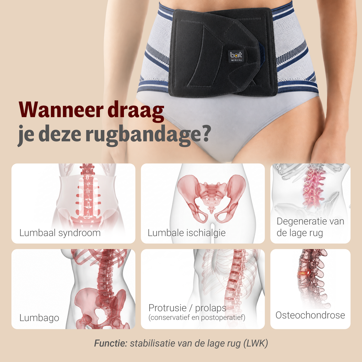 BORT Stabilo Basic Lady-rugbandage met pelotte, zilver — toepassing en werking