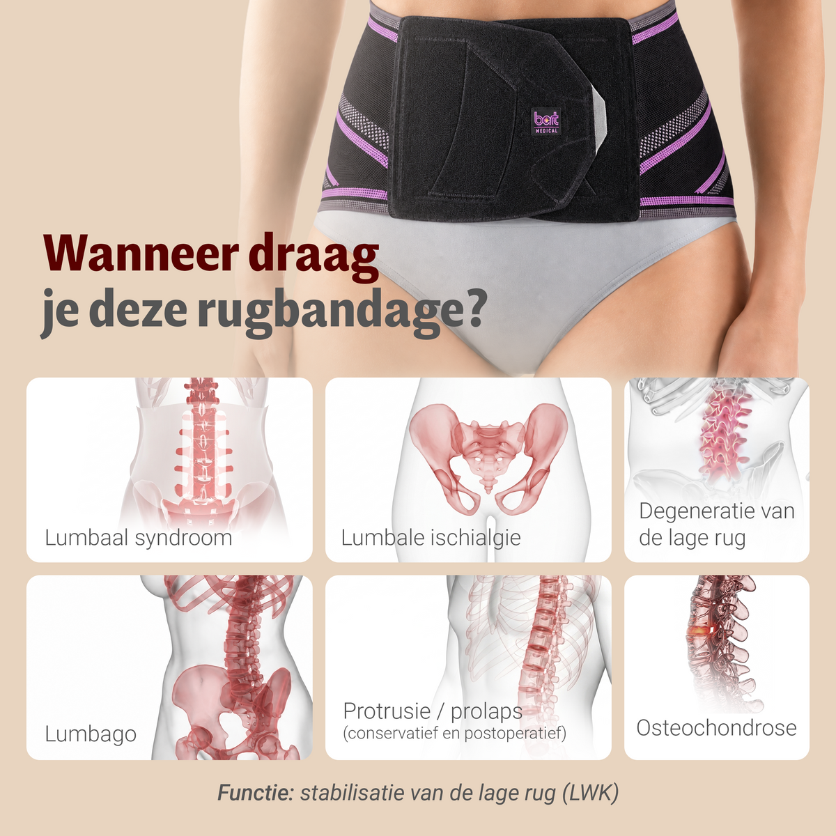 BORT Stabilo Basic Lady-rugbandage met pelotte, zwart/paars — toepassing en werking