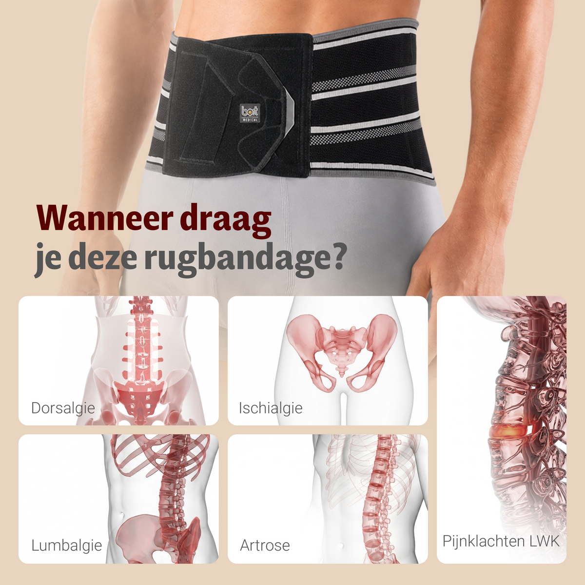 BORT Stabilo Basic-rugbandage met pelotte, zwart — toepassing en werking