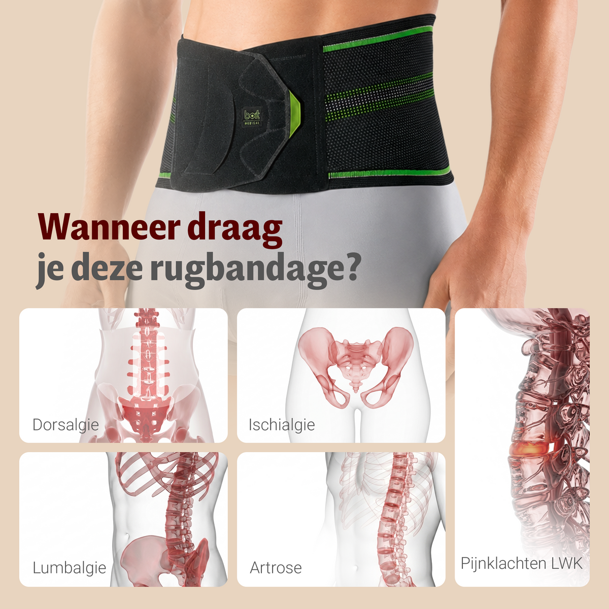 BORT StabiloBasic Sport-rugbandage met pelotte — toepassing en werking